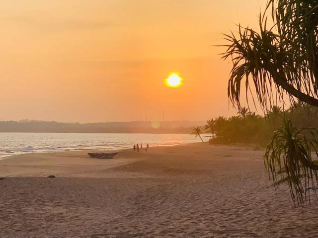 Mangrove Beach Cabana Tangalle Eksteriør billede