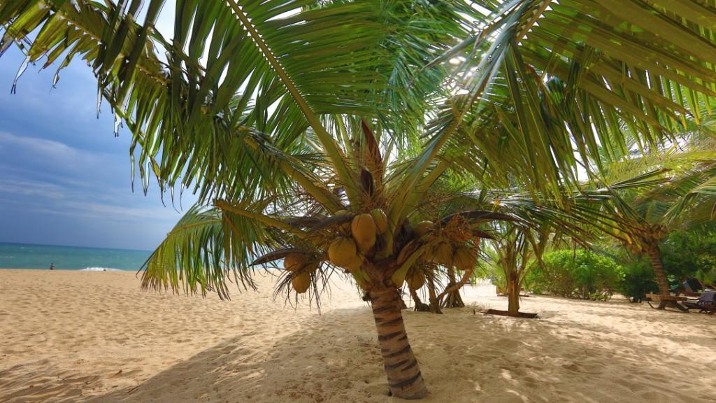 Mangrove Beach Cabana Tangalle Eksteriør billede