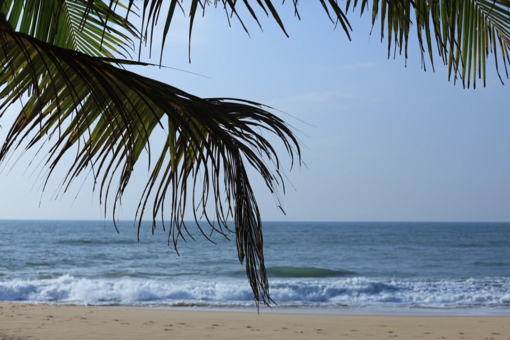 Mangrove Beach Cabana Tangalle Eksteriør billede