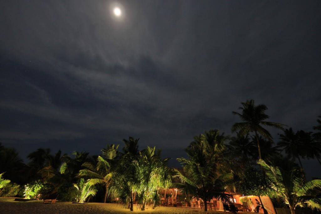 Mangrove Beach Cabana Tangalle Eksteriør billede