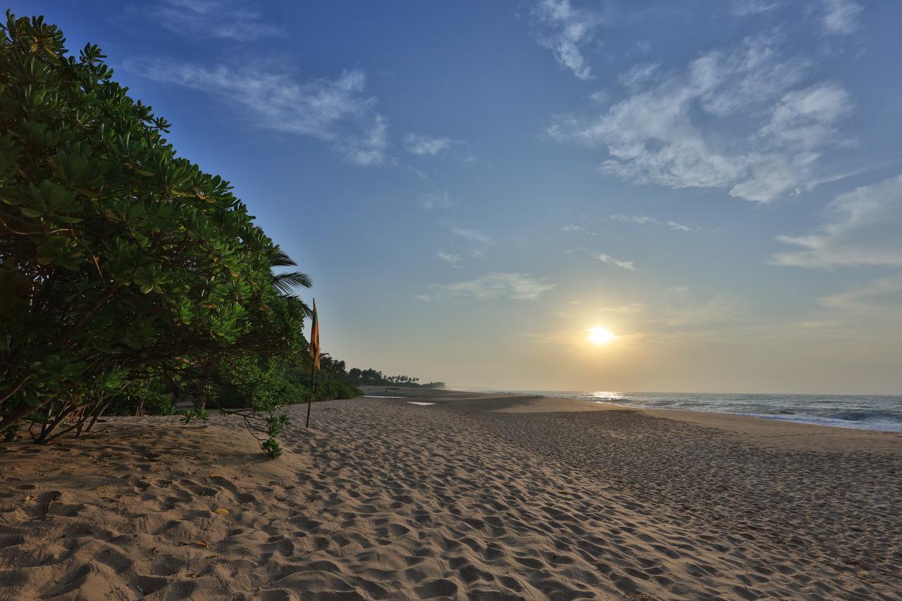 Mangrove Beach Cabana Tangalle Eksteriør billede