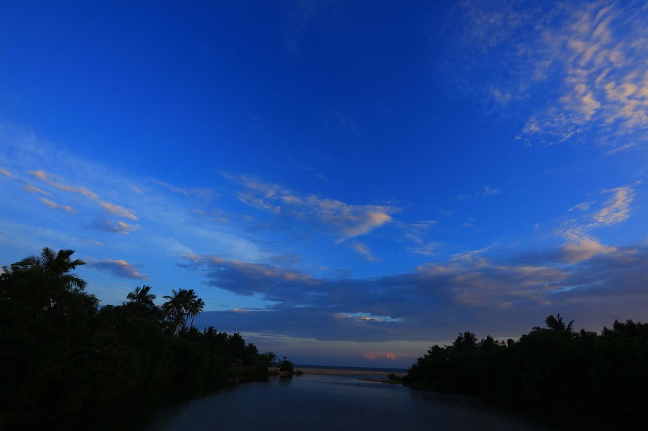 Mangrove Beach Cabana Tangalle Eksteriør billede