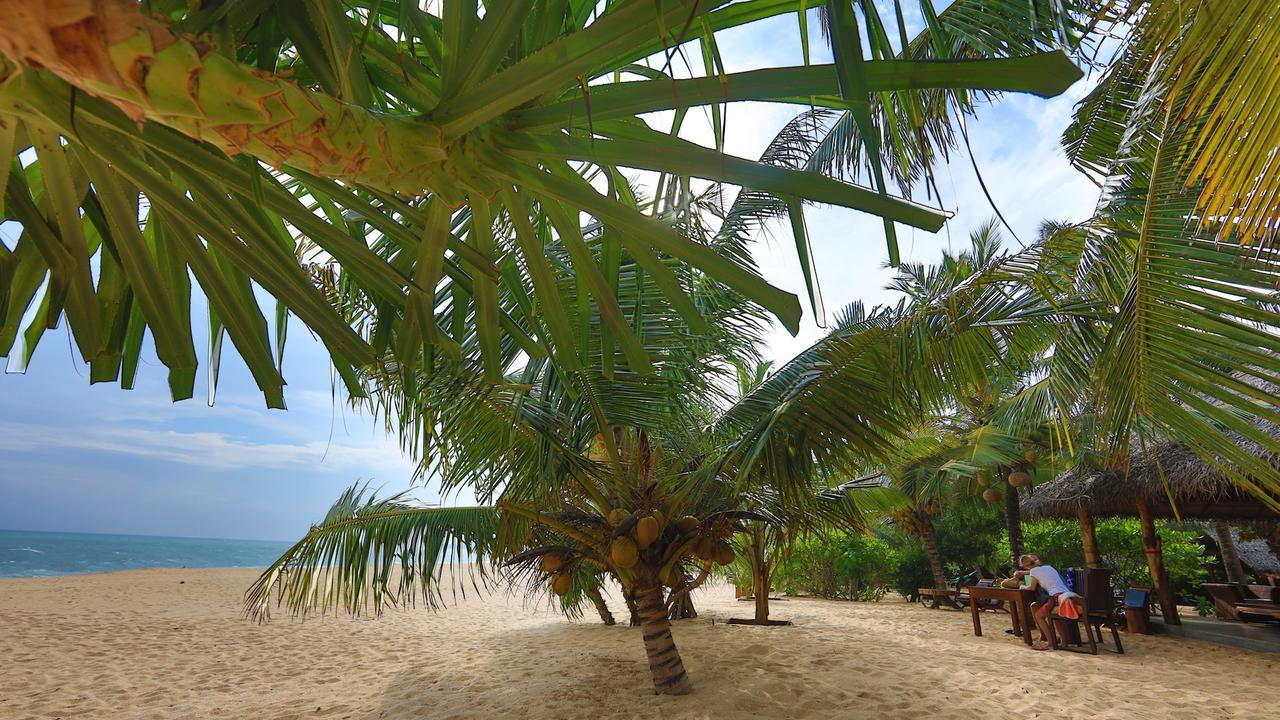 Mangrove Beach Cabana Tangalle Eksteriør billede