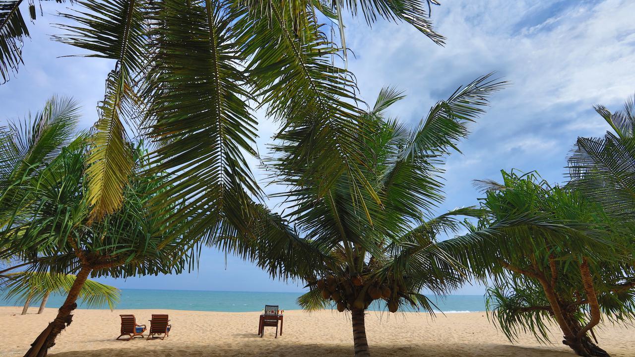 Mangrove Beach Cabana Tangalle Eksteriør billede