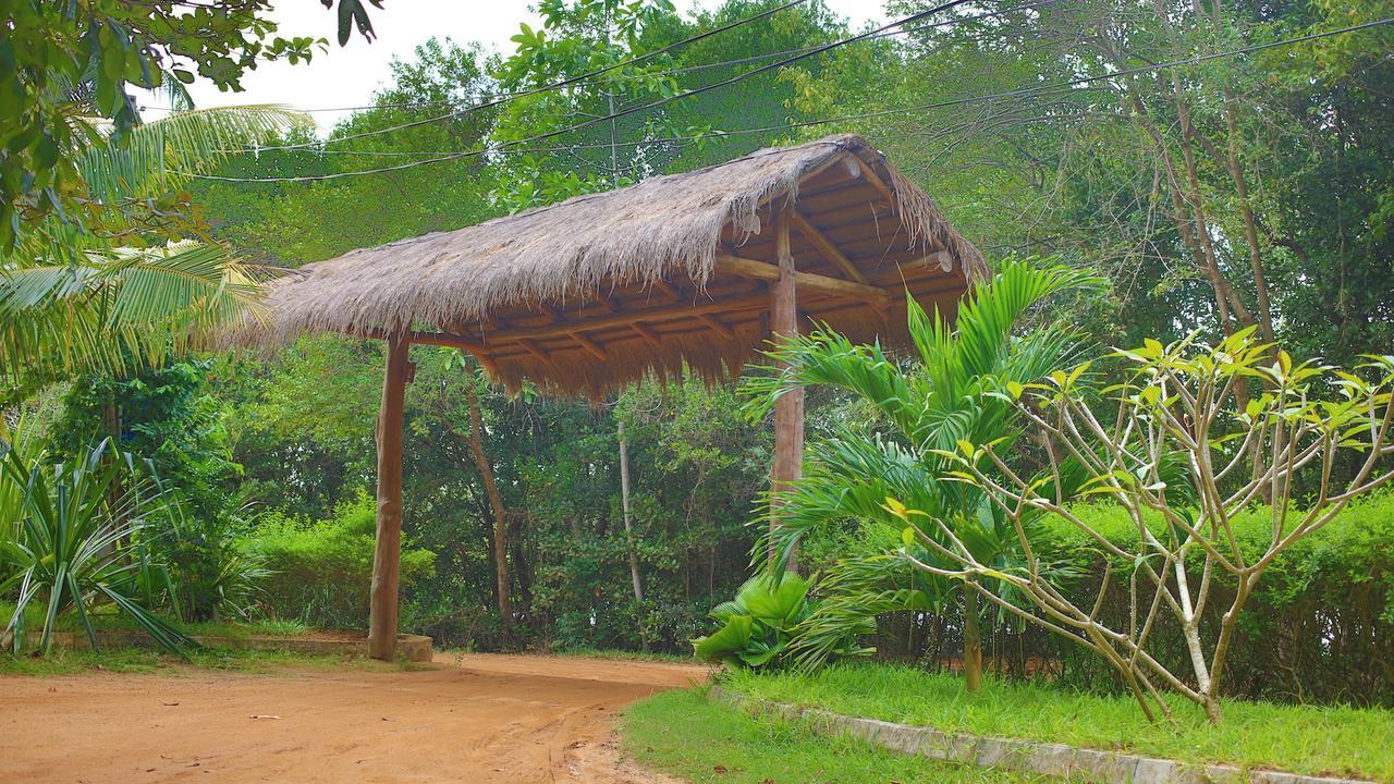 Mangrove Beach Cabana Tangalle Eksteriør billede