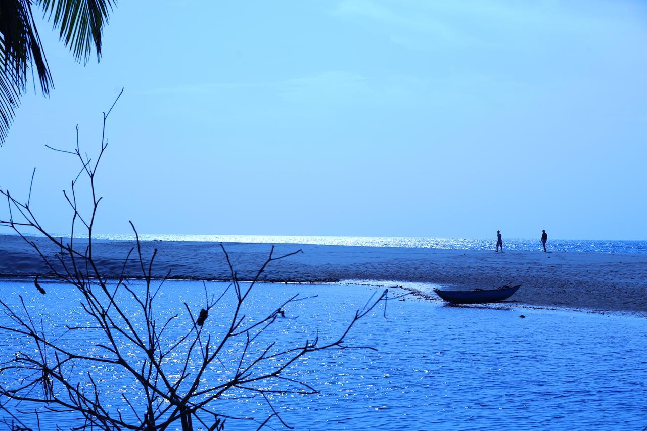 Mangrove Beach Cabana Tangalle Eksteriør billede